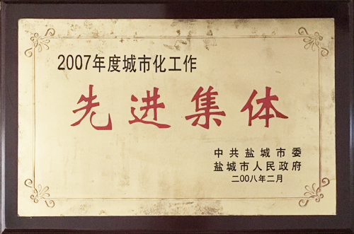 2008年2月城市化工作&ldquo;先进集体&rdquo;.jpg